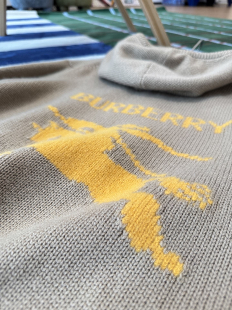 Bv*b*rry sweater